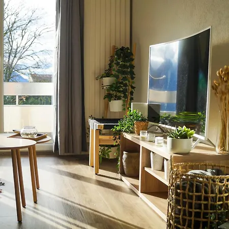 Confort, & A Pied Apartment