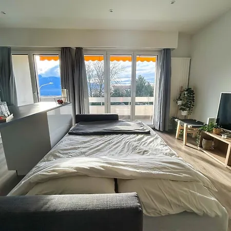 Apartman Confort, & A Pied