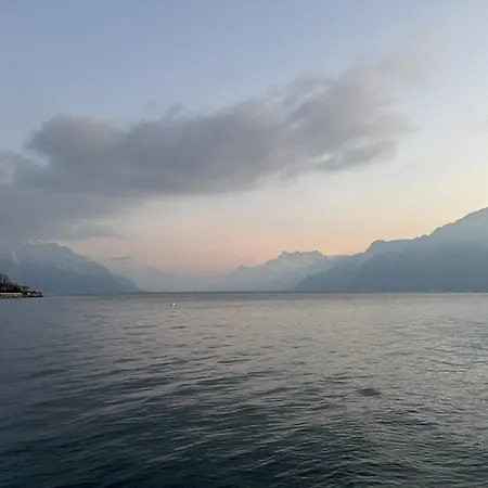 Confort, & A Pied Lägenhet La Tour-de-Peilz